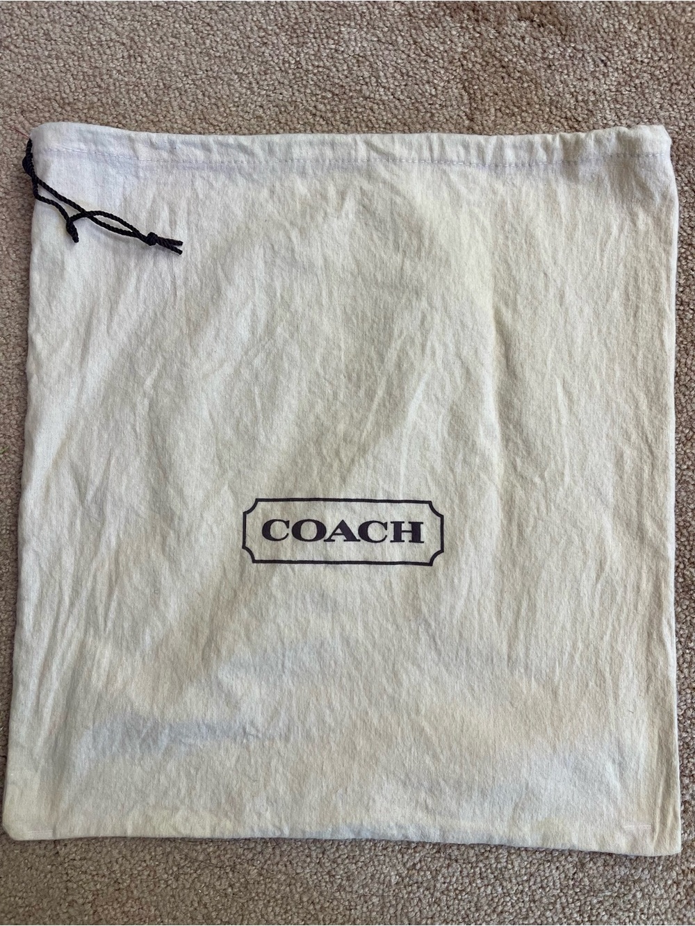 COACH Beige Dust Bag Size:14”Wx15”H